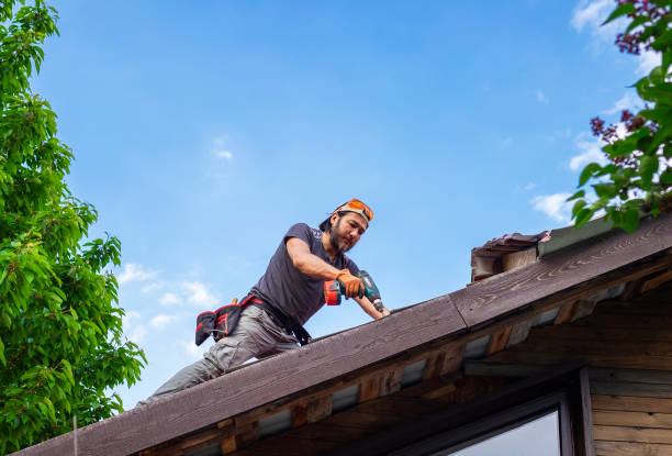 Best Metal Roofing Installation  in Malmstrom Af, MT